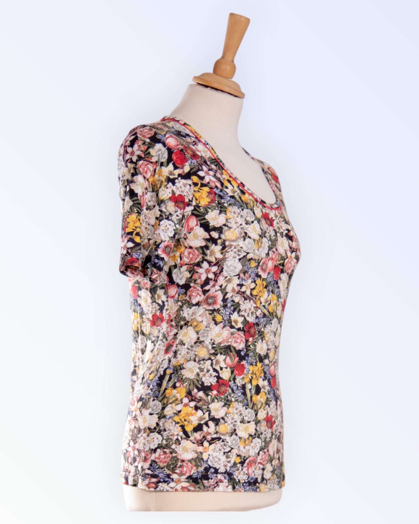 Peter Hahn multi-colored top