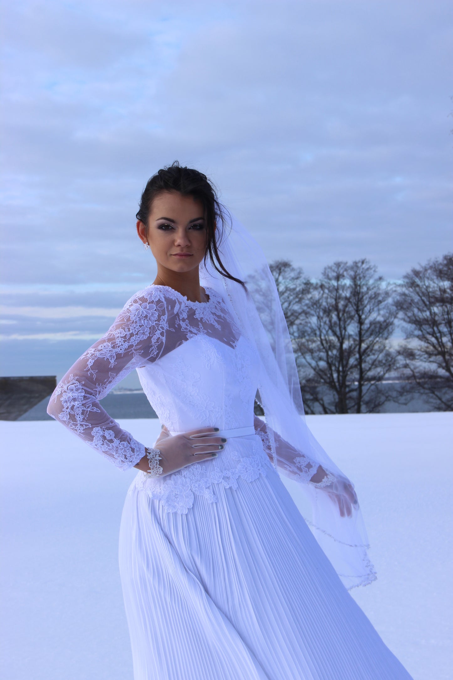 Beaded bridal veil
