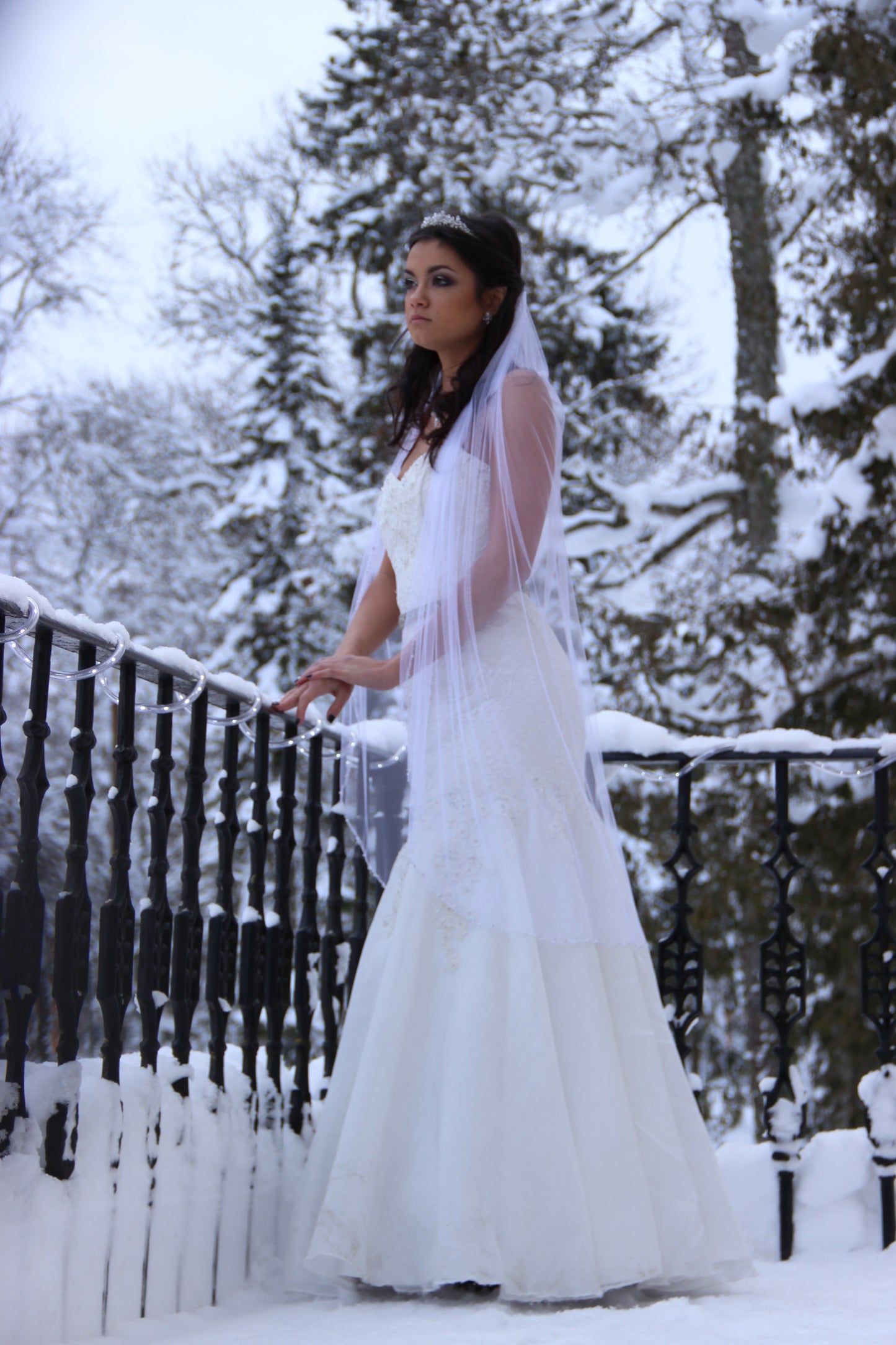 Beaded bridal veil