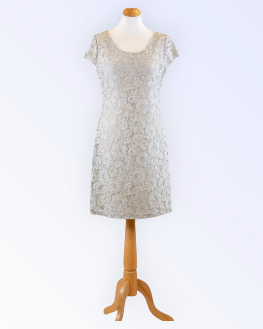 Azay Collection light gray lace dress
