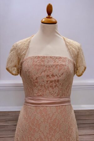 Festive beige lace bolero.