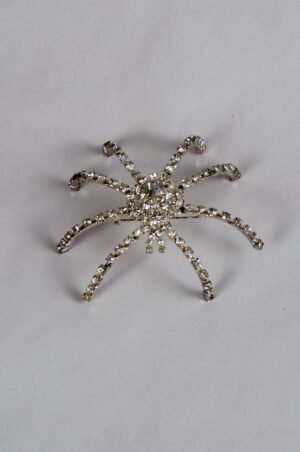 spider-shaped brooch with crystals