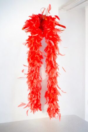 Red feather boa made from ostrich feathers