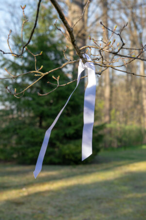 White ribbons for decorating wedding cars