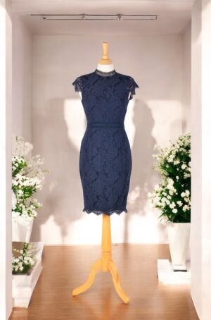 Navy lace formal pencil dress.